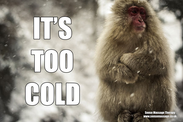 It's too cold meme