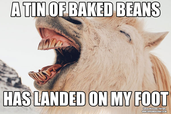 Horse laughing meme
