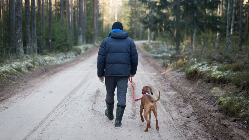 Man walking with dog in the winter