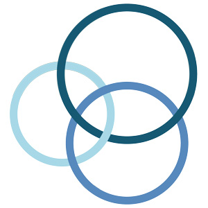 Logo-Wireless Infrastructure Group