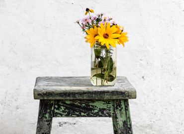 give flowers vase of flowers