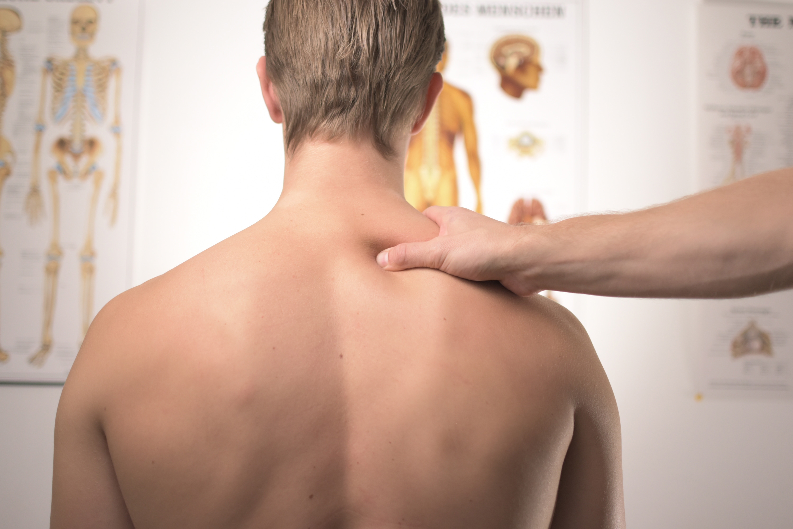 Back massage. Back massage scheme and technique. Basic massage
